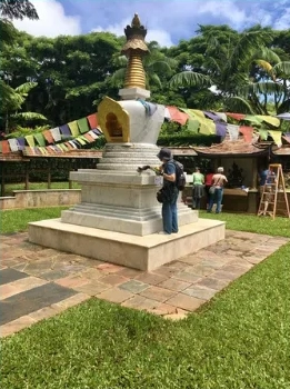 Caring For The Environment 2021